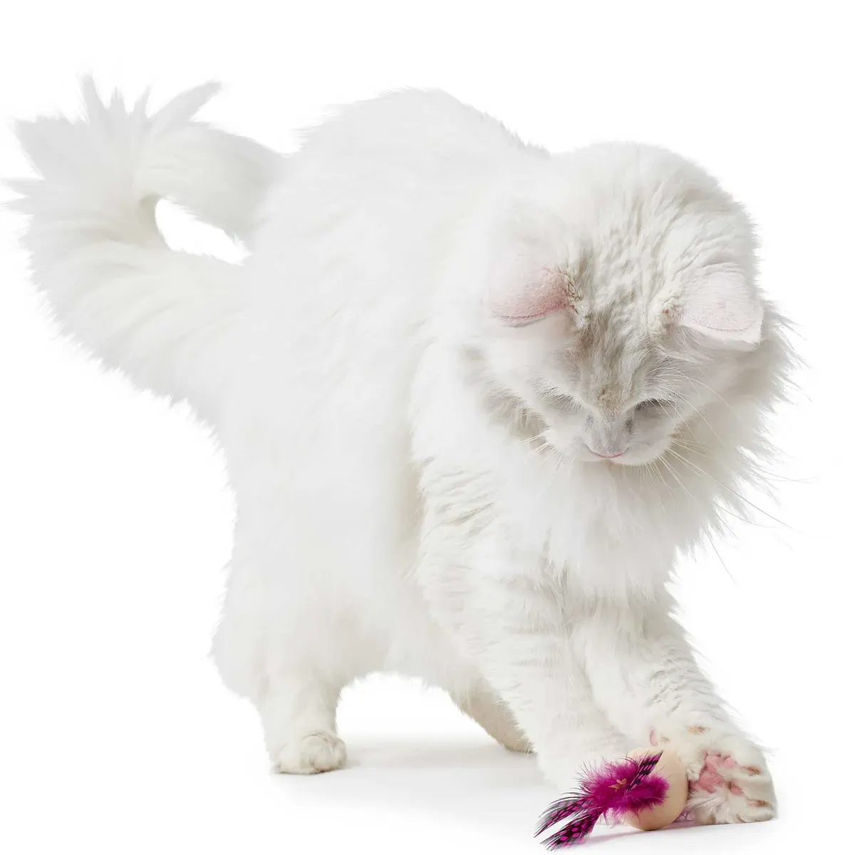 Hunter Juguete Mala Ball Rosa 4 cm para Gatos - Imagen 2
