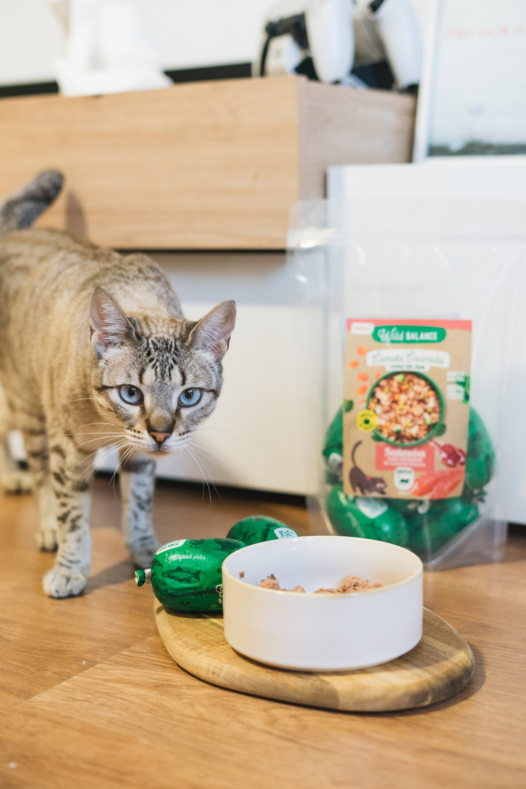 Wild Balance Menú COCINADO SALMÓN CON TERNERA y Verduras Frescas 1,2 kg para Gatos - Imagen 3