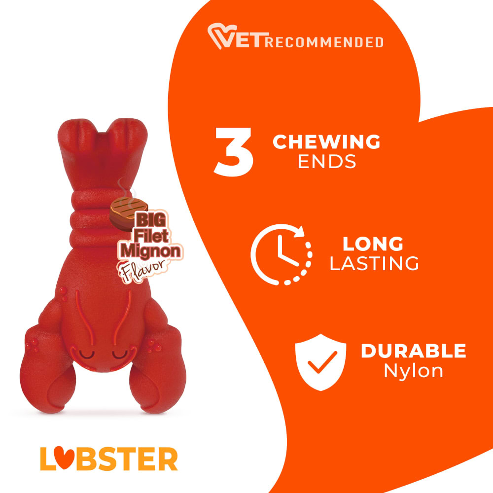 Nylabone Juguete LANGOSTA Masticable Extreme (sabor TERNERA) T.XL para Perros - Imagen 2