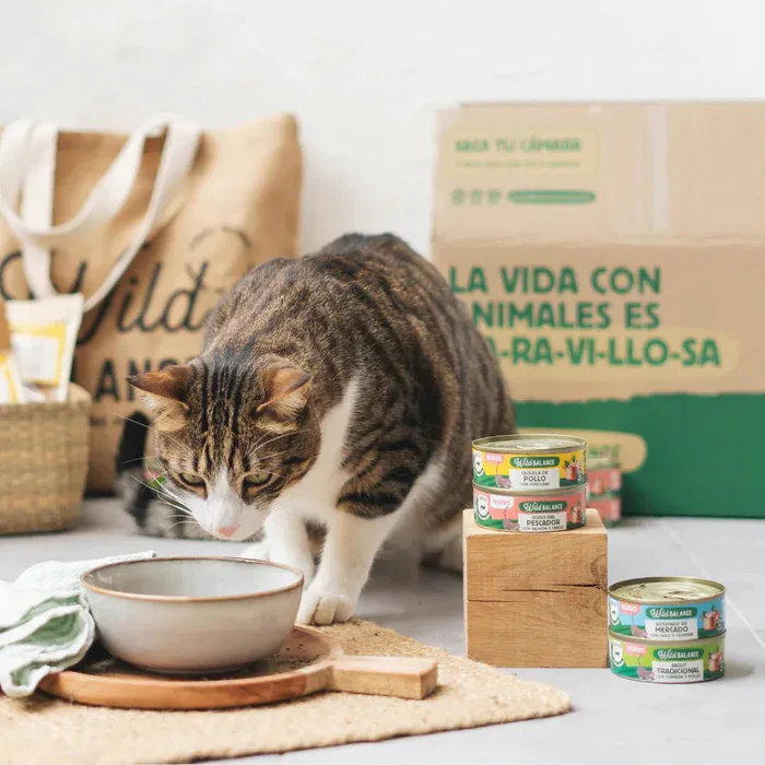 Wild Balance Comida HÚMEDA Completa - LATA Guiso Pescador SALMÓN y CERDO con Verduras (Recetas Chef) 80 g para Gatos - Imagen 5