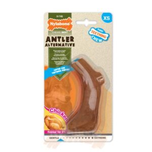 Nylabone Juguete HUESO Masticable (sabor TERNERA) T.S para Perros Cachorros