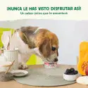 Wild Balance YOGUR HELADO con prebióticos sabor Mora con semillas de Chía 110 g para Perros y Gatos - Imagen 2