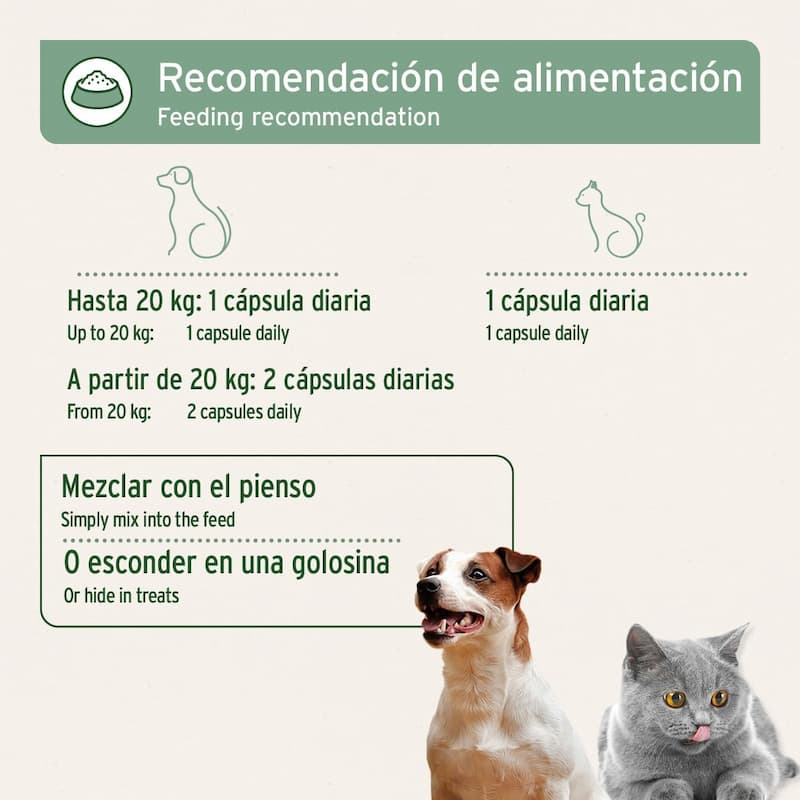 Aniforte Suplemento ACEITE DE SALMÓN 200 cápsulas para Perros y Gatos - Imagen 2
