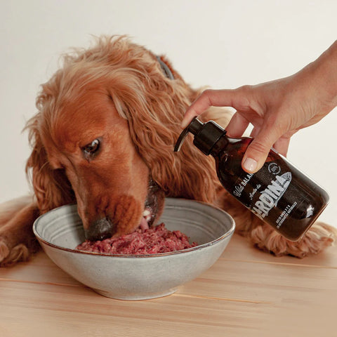 Wild Balance Suplemento Aceite SARDINA al Natural 250 ml para Perros y Gatos - Imagen 2