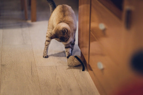 Gloria Juguete Calatrava Ratoncito con Piel de Conejo para Gatos - Imagen 3