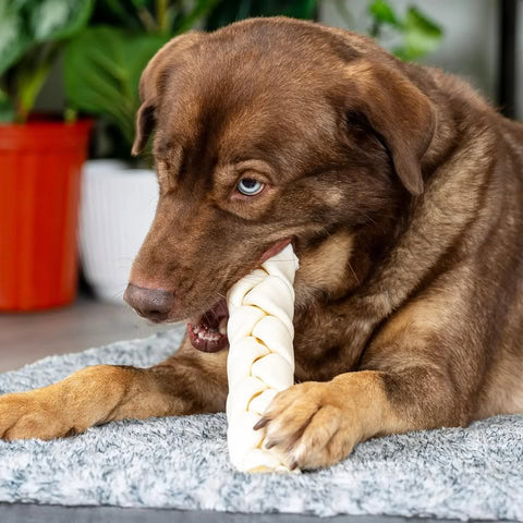 Farm Food Snack Cuero Crudo (Dental Braided Stick) T.S (15 cm) para Perros - Imagen 2