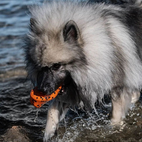 Non-Stop Juguete Mordedor Dog throw toy (de Caucho y Bambú) Naranja/Negro para Perros - Imagen 4