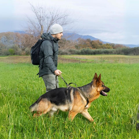 Non-Stop Correa Touring bungee WD - Elástica, Verde Aceituna (2,8 m/23 mm) para Perros - Imagen 5