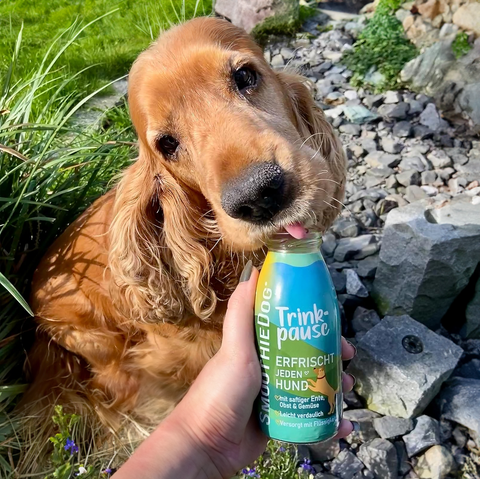 SmoothieDog Snack Líquido PATO con Frutas y Verduras - Botella Vidrio 250 ml para Perros - Imagen 2