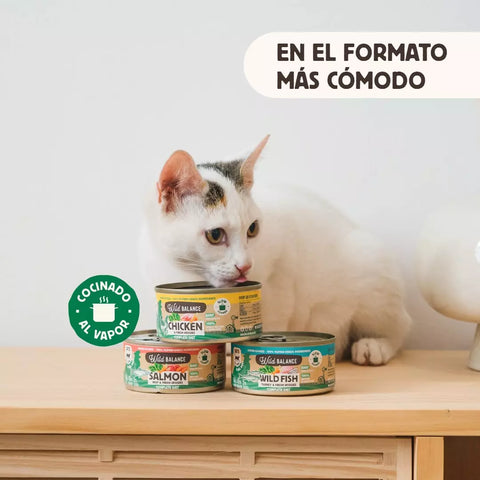 Wild Balance Comida HÚMEDA Completa - LATA SALMÓN y TERNERA con Verduras (Filosofía BARF) 120 para Gatos - Imagen 2