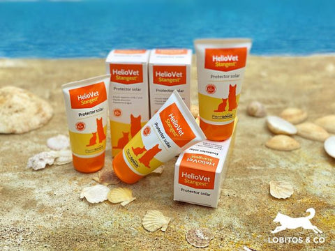 Stangest Heliovet Crema Protectora Solar SPF50+ 50 ml para Perros y Gatos - Imagen 2