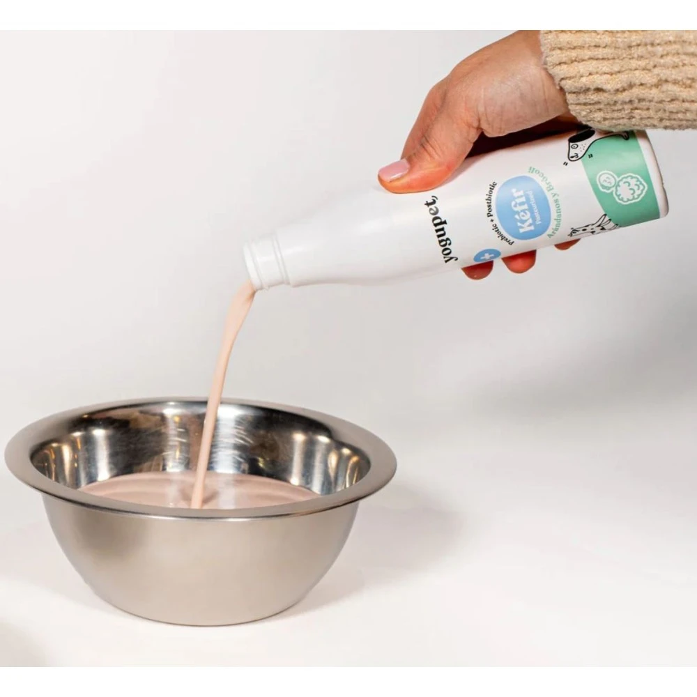 Yogupet Kéfir de ARÁNDANOS Y BRÓCOLI 200 ml para Perros y Gatos - Imagen 2