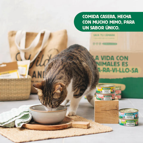 Wild Balance Comida HÚMEDA Completa - LATA Estofado Mercado con PAVO Y TERNERA con Verduras (Recetas Chef) 80 g para Gatos - Imagen 3
