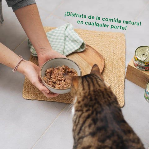 Wild Balance Comida HÚMEDA Completa - LATA Estofado Mercado con PAVO Y TERNERA con Verduras (Recetas Chef) 80 g para Gatos - Imagen 4