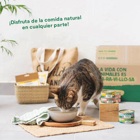 Wild Balance Comida HÚMEDA Completa - LATA RAGUT Tradicional TERNERA y POLLO con Verduras (Recetas Chef) 80 g para Gatos - Imagen 4