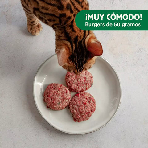 Wild Balance Menú BARF de BOQUERÓN Y SARDINA con Pavo y Verduras 1 kg para Gatos - Imagen 3