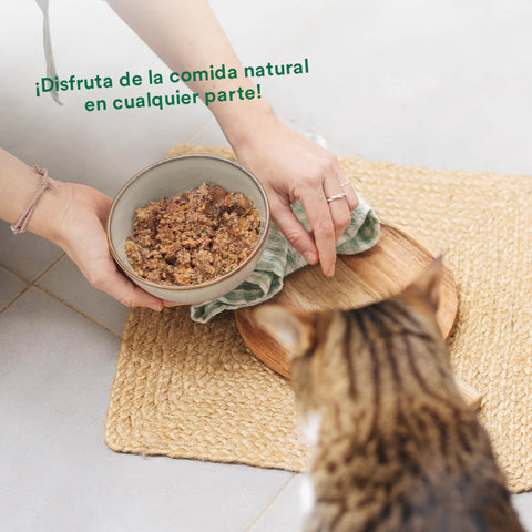Wild Balance Comida HÚMEDA Completa - LATA CERDO y Verduras (Filosofía BARF) 120 g para Gatos - Imagen 4