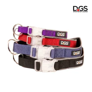 DGS Collar Seguridad COMET Luminoso LED Recargable para Perros