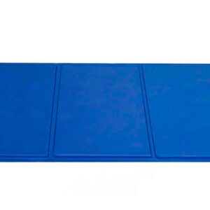 Freedog ALFOMBRA / Cama REFRESCANTE Antiarañazos (Anti-Scratch Cool Bed) para Perros y Gatos