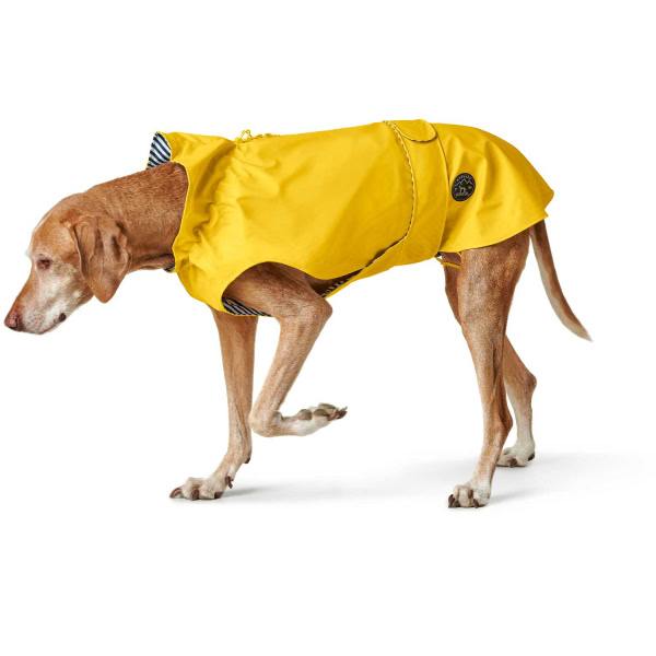 Hunter Abrigo MILFORD (Protege Cuello, Espalda y Vientre) Resitente Agua y Viento para Perros - Imagen 6