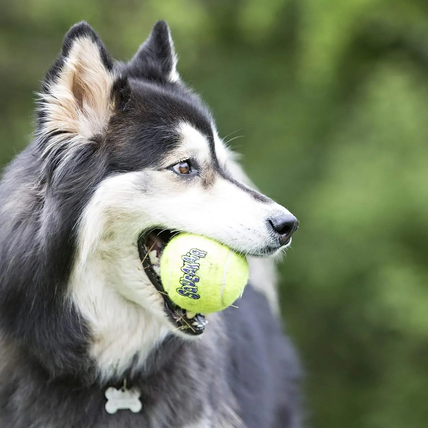 Kong Juguete PELOTAS TENIS (3 Uds) para Perros - Imagen 2