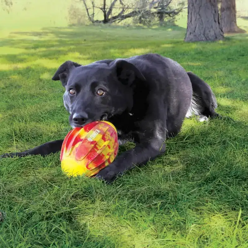 Kong Juguete Pelota Flexball Sport (forma esférica u ovalada) para Perros - Imagen 3