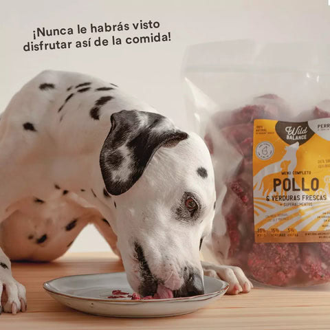 Alimento natural para perros rico en pollo y verduras frescas