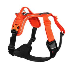 Arnés para perros Non-Stop Ramble Harness en color azul
