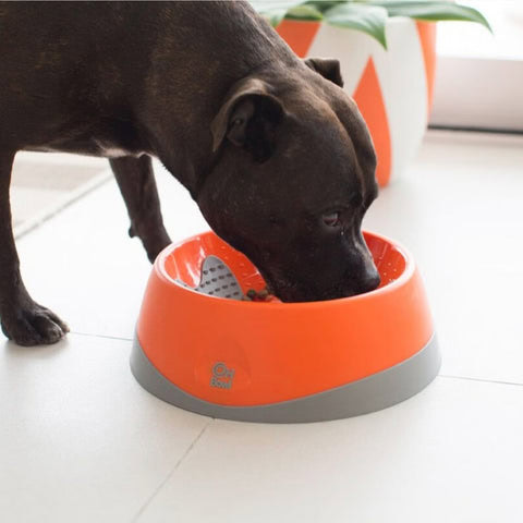 Características del Lickimat Oh Bowl para la alimentación lenta
