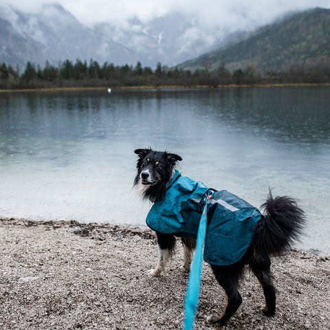 Chubasquero Non-Stop Fjord 2.0 ideal para perros activos