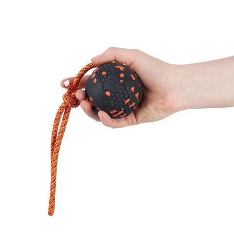 close-up de la pelota con cuerda para perros