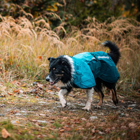 Chubasquero Non-Stop Fjord 2.0 ligero y cómodo para perros