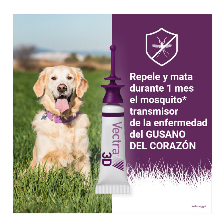 Pipetas para Perros pequeños Vectra 3D | Emperrados