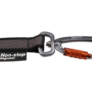 Correa Non-Stop Touring Bungee Leash con perro en parque