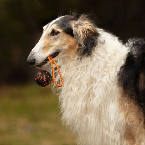 detalles del material de la pelota para perros