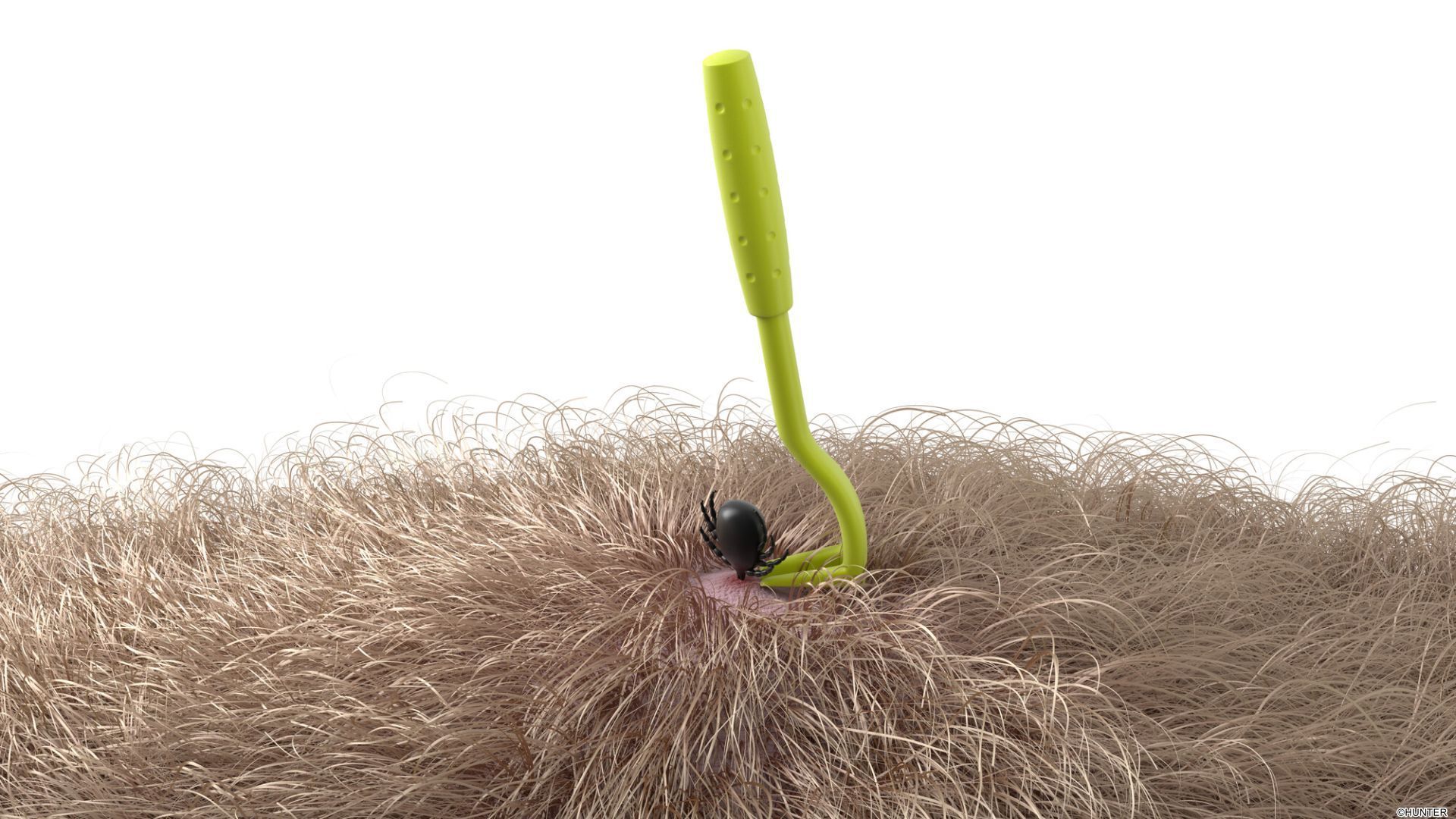 Hunter Pinzas/Ganchos Quita Garrapatas (2 uds.) 5-7 cm para Perros - Imagen 8