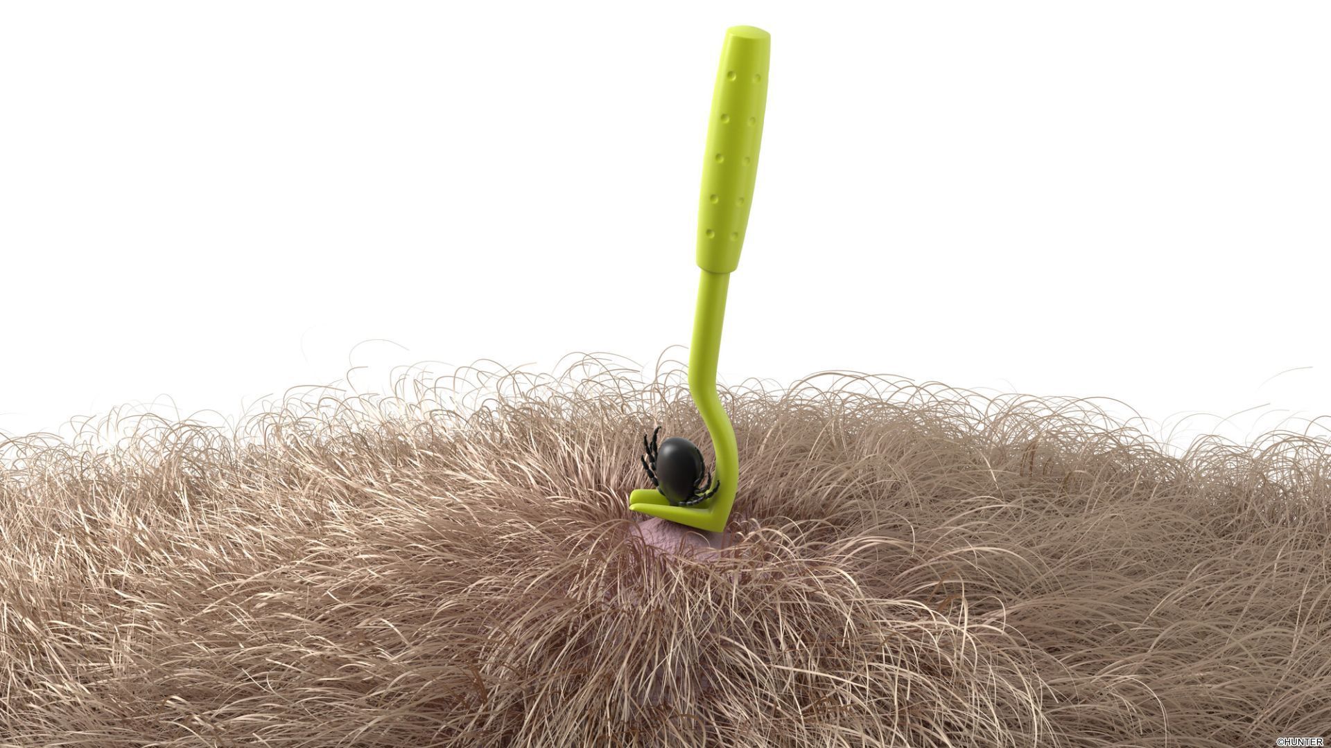 Hunter Pinzas/Ganchos Quita Garrapatas (2 uds.) 5-7 cm para Perros - Imagen 7