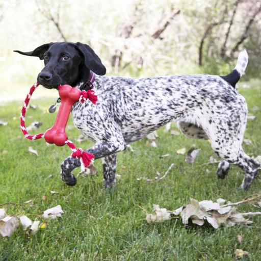 Kong Juguete HUESO (Goma) CON CUERDA Rellenable GOODIE BONE Rojo para Perros - Imagen 2