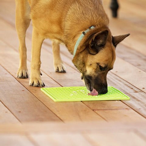 Lickmat Buddy Classic fácil de almacenar
