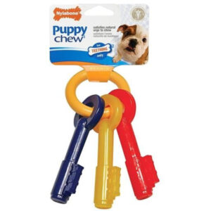 Nylabone, Juguete LLAVES Masticable Llaves para Perros Cachorros