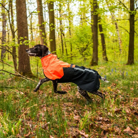 Perro caminando bajo la lluvia con chubasquero Non-Stop Fjord 2.0