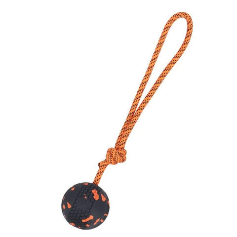 pelota con cuerda para entrenamiento de perros
