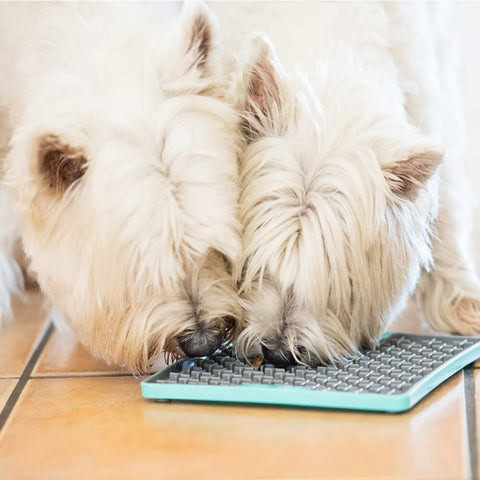 Perro disfrutando de Lickmat Tuff Buddy de Lamido en uso