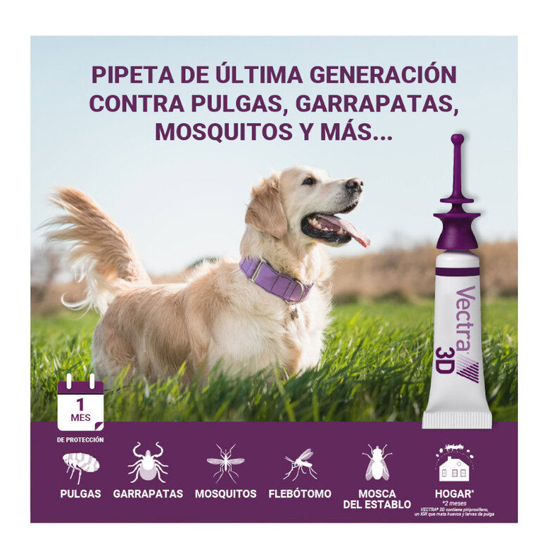 Pipetas Vectra 3D para Perros | Emperrados