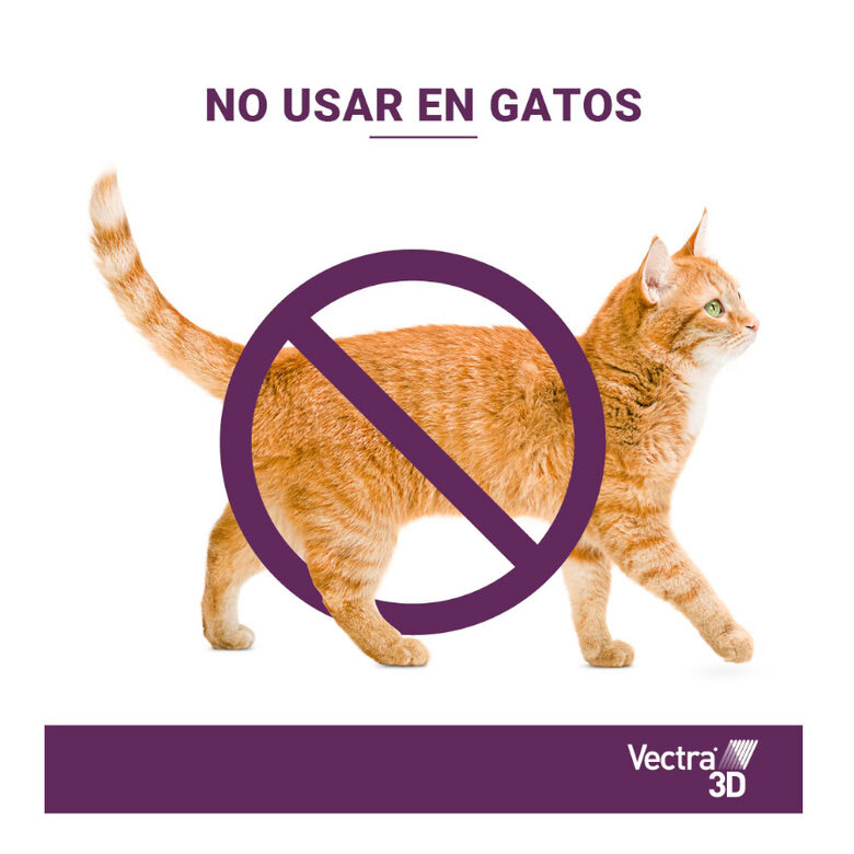 Pipetas Vectra 3D para Perros | Emperrados
