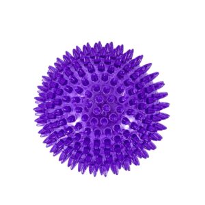 Freedog Juguete PELOTA NOODY (Textura púas suaves) para Perros