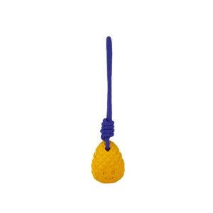 Freedog Juguete MORDEDOR PIÑA ZYGO, T.Única (30,7x7,2x7,2 cm) Amarillo y Lila para Perros