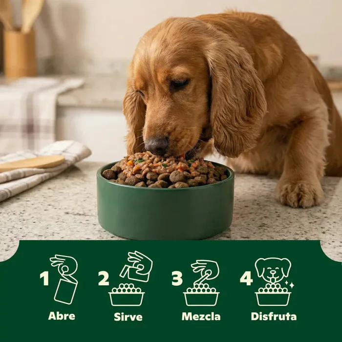 Wild Balance TOPPER de TERNERA con zanahoria, calabaza y espinacas (Salsas Gourmet) 85 g para Perros - Imagen 3