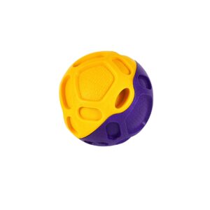 Freedog Juguete PELOTA ZYGO, T.Única (13 cm) Amarillo y Lila para Perros