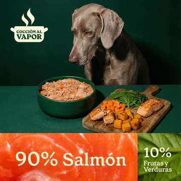Wild Balance Menú COCINADO de SALMÓN con Verduras para Perros - Imagen 3